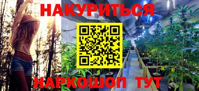 прущие крисы Краснодар