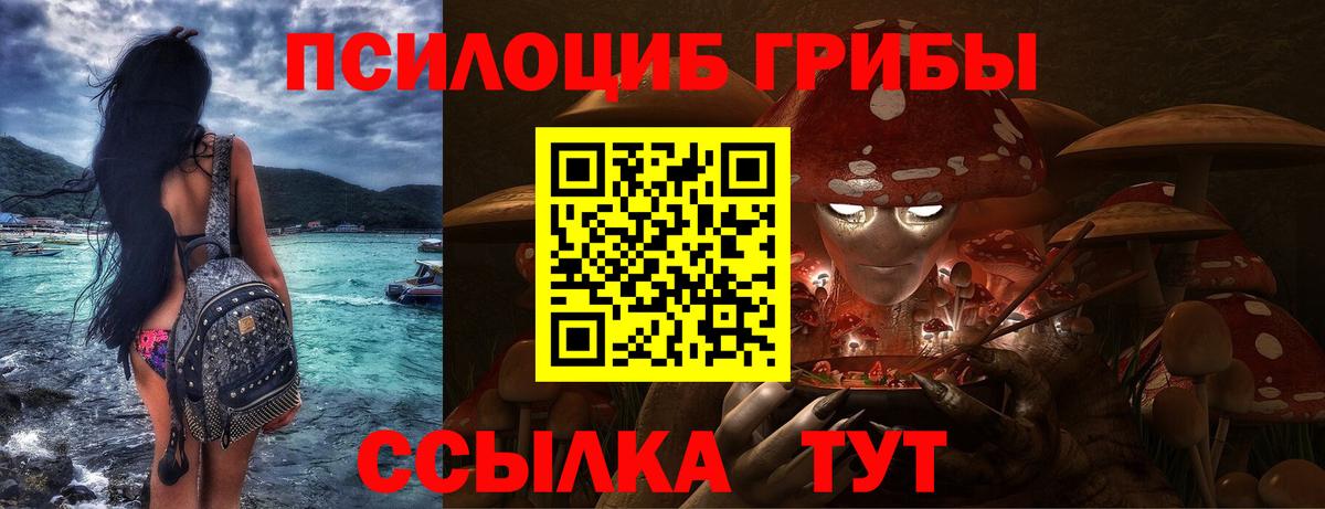 наркотики  Вход с VPN  Шахты  Псилоцибиновые грибы мицелий 