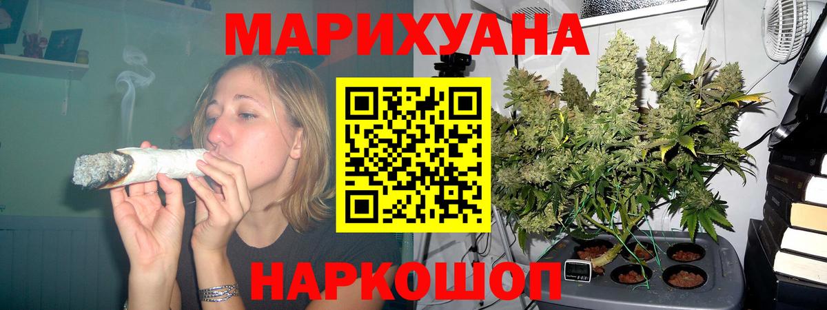 Бошки марихуана планчик  Вход с VPN  Конопля индика  Марихуана Amnesia  Шахты 
